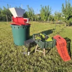 Видове гроздомелачки